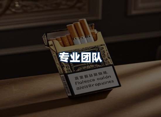专业团队